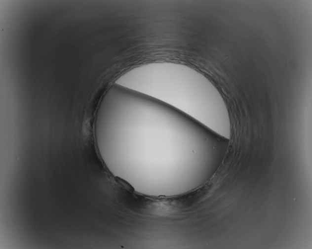 X0000089880611200706281052