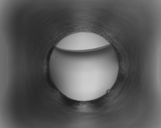 X0000089880612200706281052