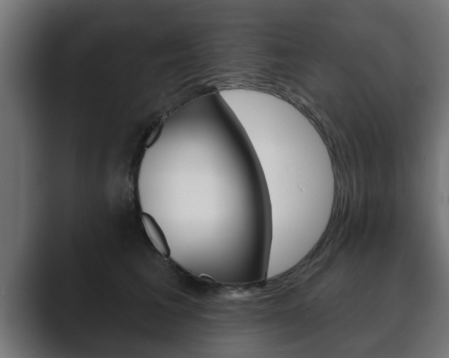 X0000089880613200706281052