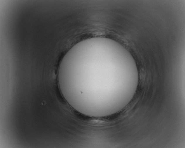 X0000089880614200706281052