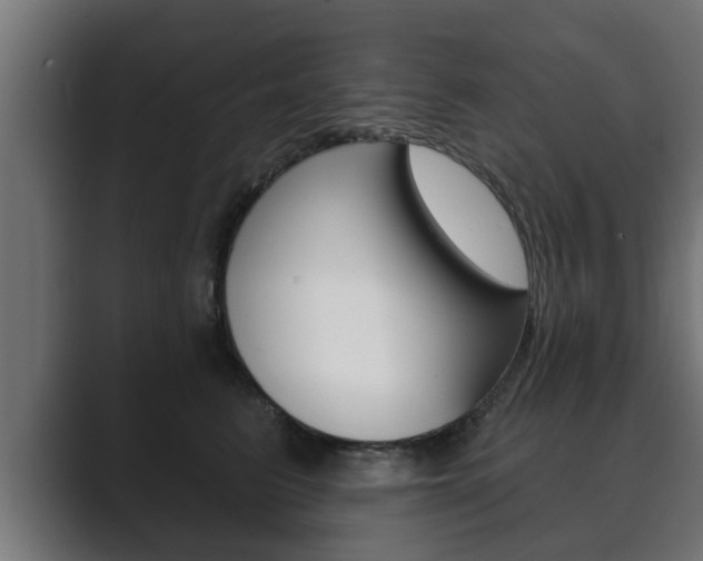 X0000089880615200706281052