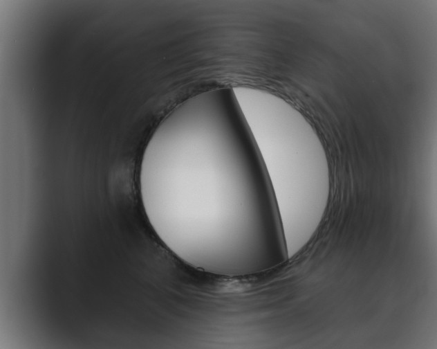 X0000089880616200706281052