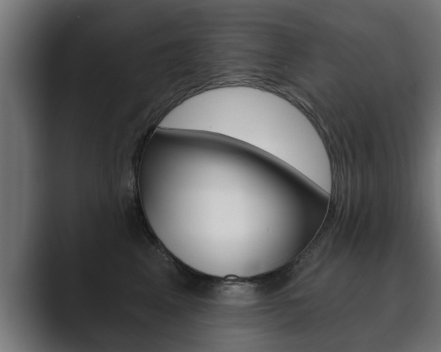 X0000089880617200706281051