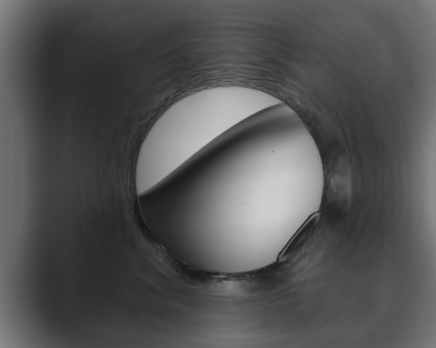 X0000089880620200706281051