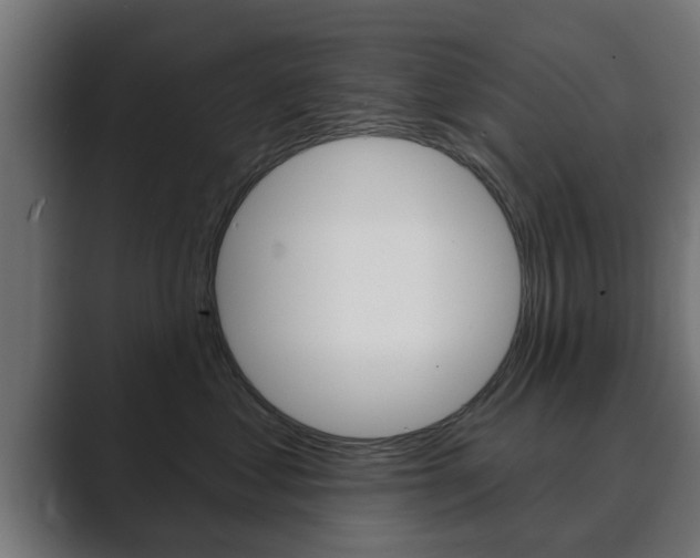X0000089880621200706281051