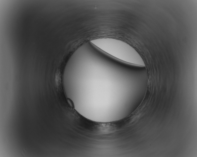 X0000089880623200706281051