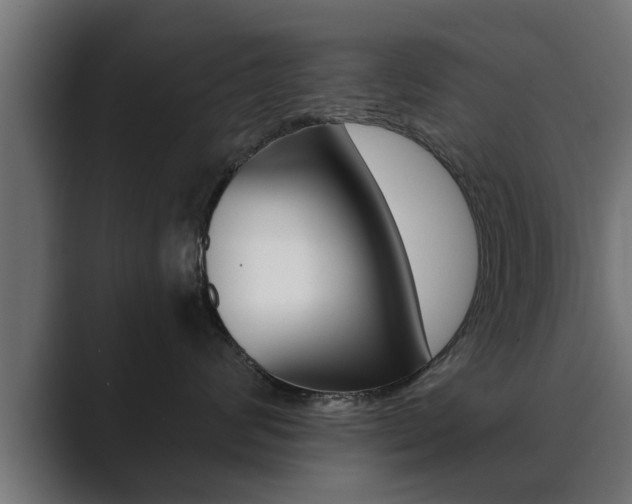 X0000089880624200706281051
