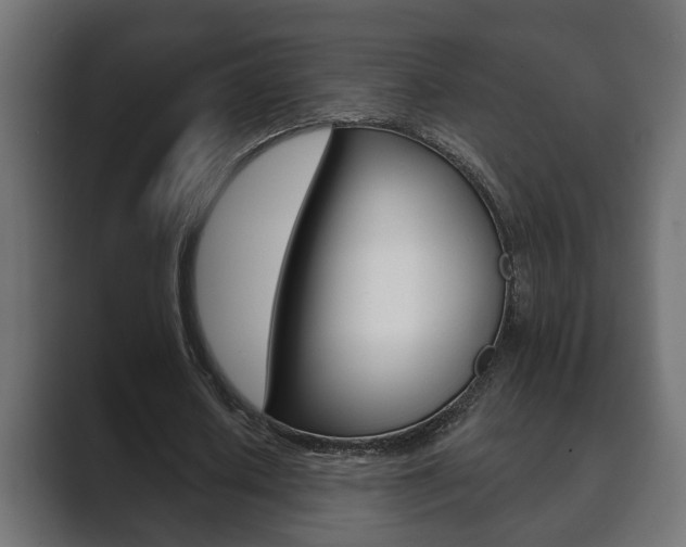 X0000089880626200706281051