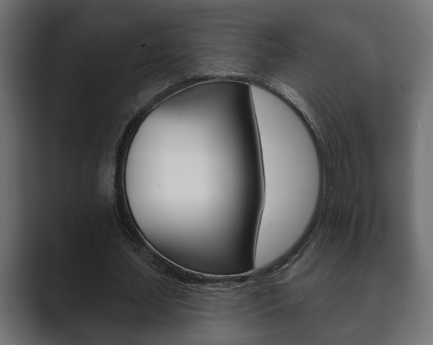X0000089880627200706281051