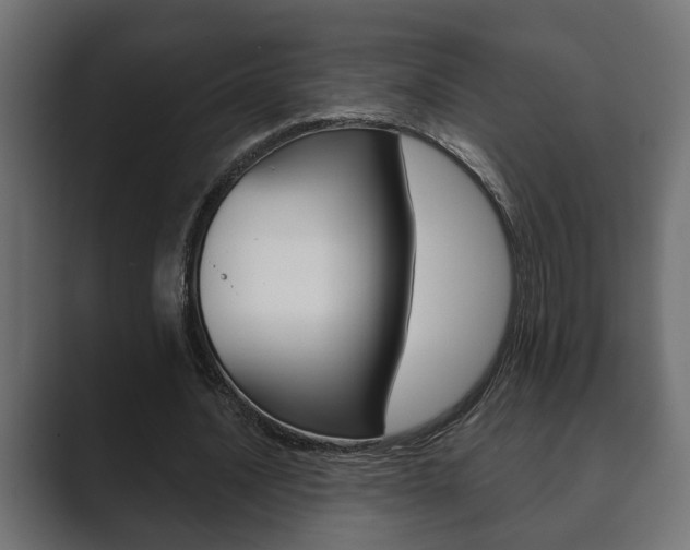 X0000089880628200706281051