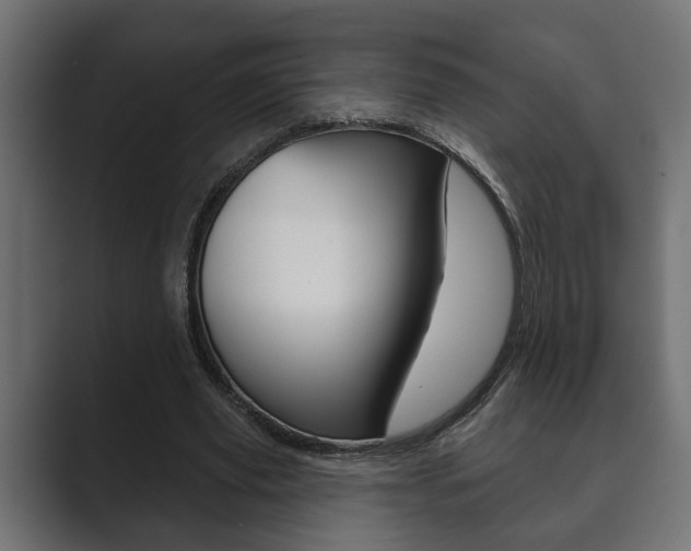 X0000089880629200706281051
