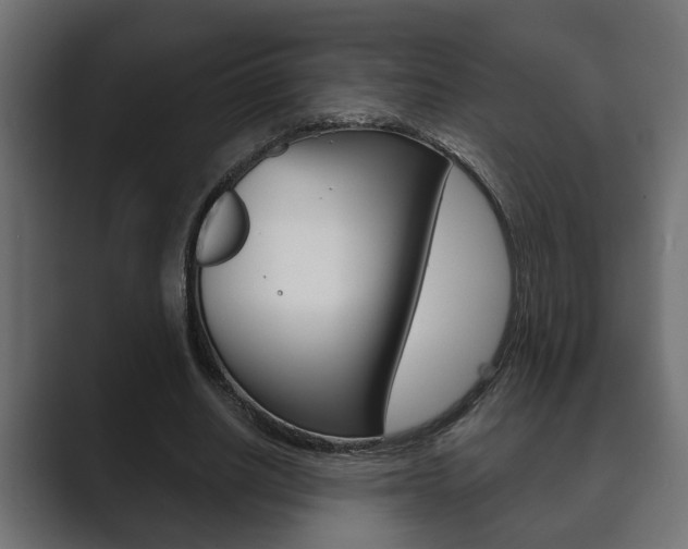 X0000089880630200706281051
