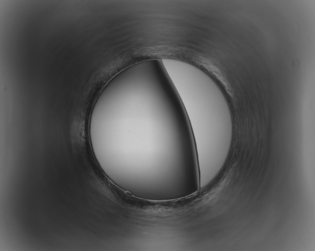 X0000089880633200706281051