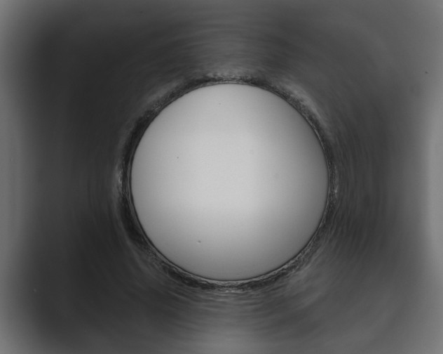 X0000089880636200706281051