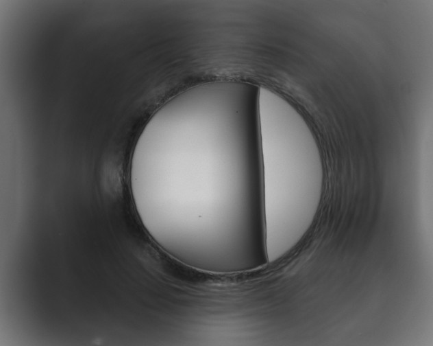 X0000089880644200706281051