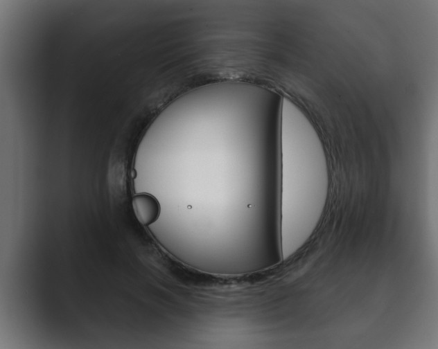 X0000089880646200706281051