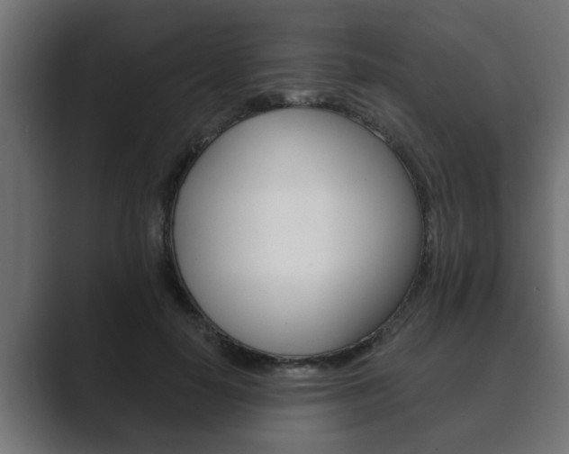 X0000089880650200706281051