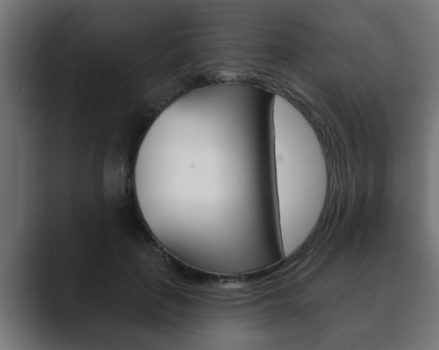 X0000089880651200706281051