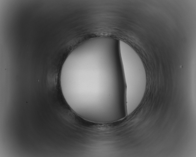 X0000089880652200706281051