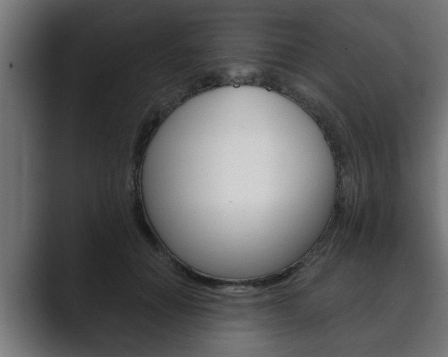 X0000089880654200706281051