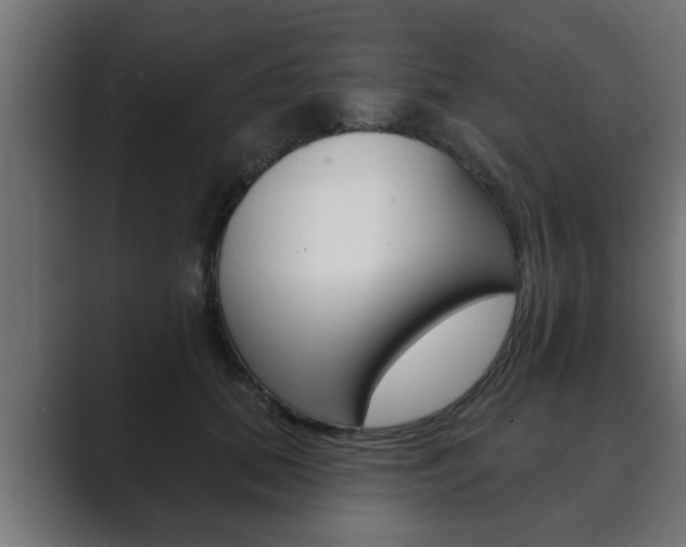 X0000089880655200706281051