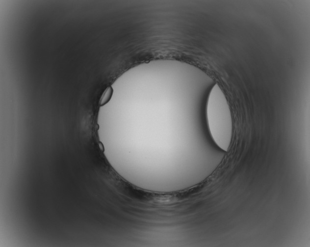 X0000089880659200706281051