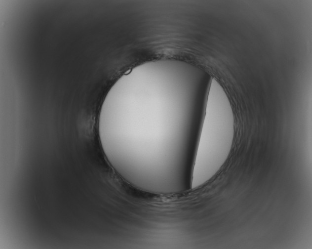 X0000089880660200706281051