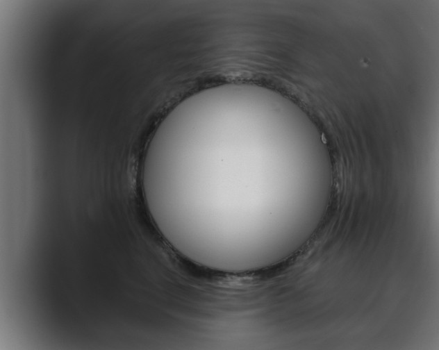 X0000089880664200706281051