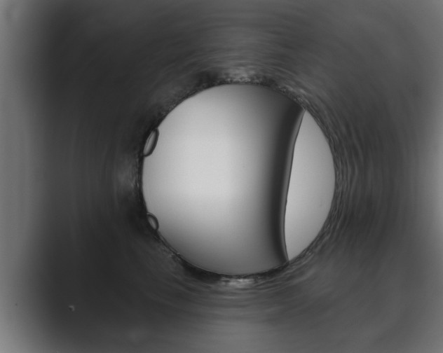 X0000089880665200706281051