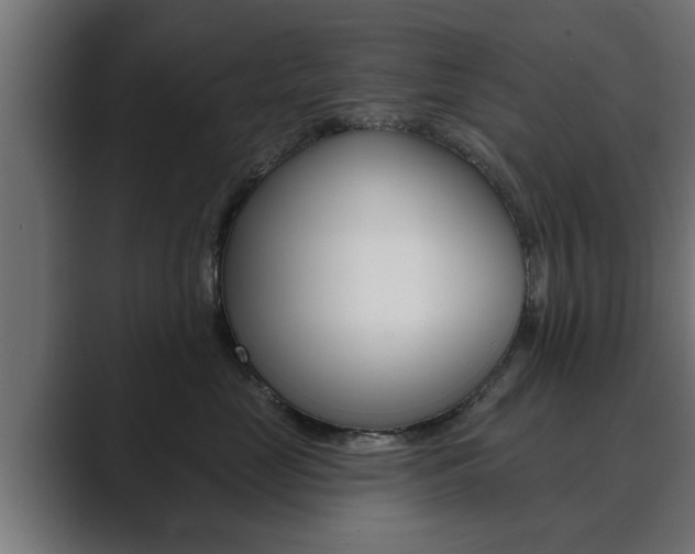 X0000089880669200706281051
