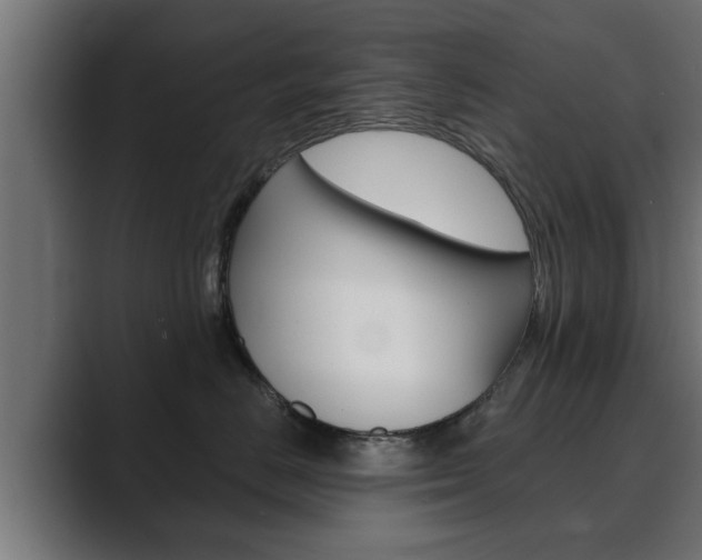 X0000089880670200706281051