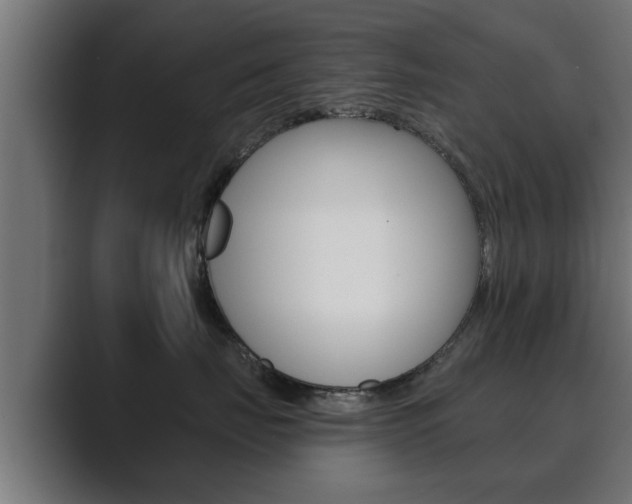 X0000089880671200706281051