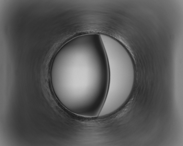 X0000089880673200706281051