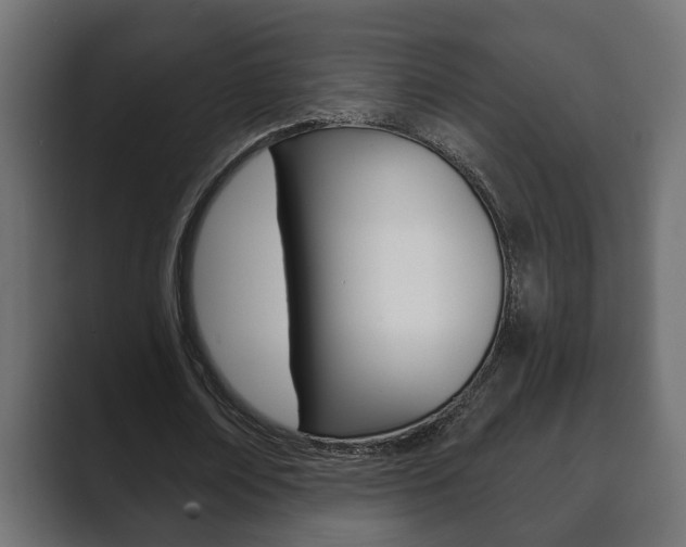X0000089880674200706281051
