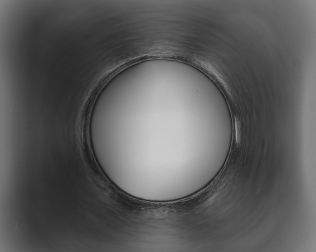 X0000089880675200706281051