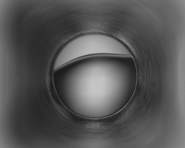 X0000089880677200706281051