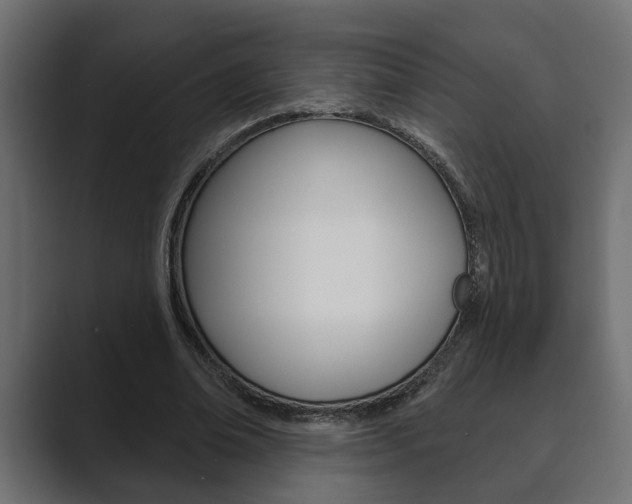 X0000089880678200706281051