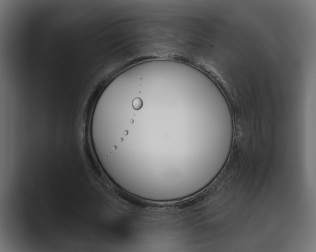 X0000089880679200706281051
