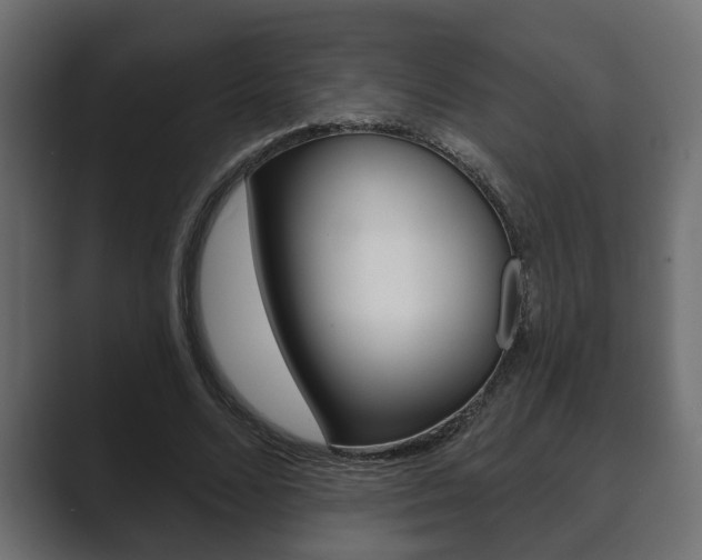 X0000089880680200706281051