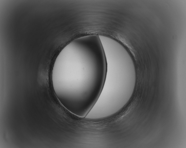 X0000089880681200706281051