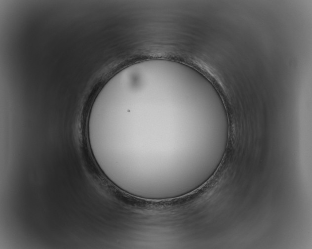 X0000089880682200706281051