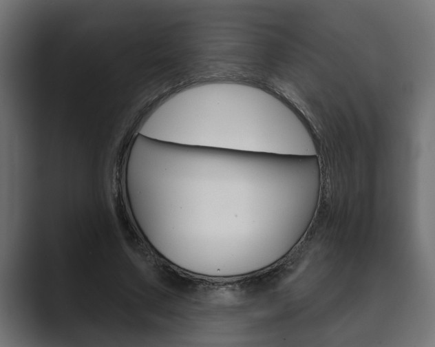 X0000089880683200706281051