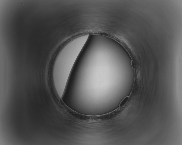 X0000089880684200706281051