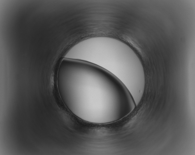 X0000089880685200706281051