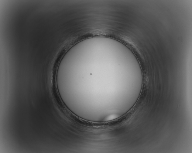 X0000089880686200706281051
