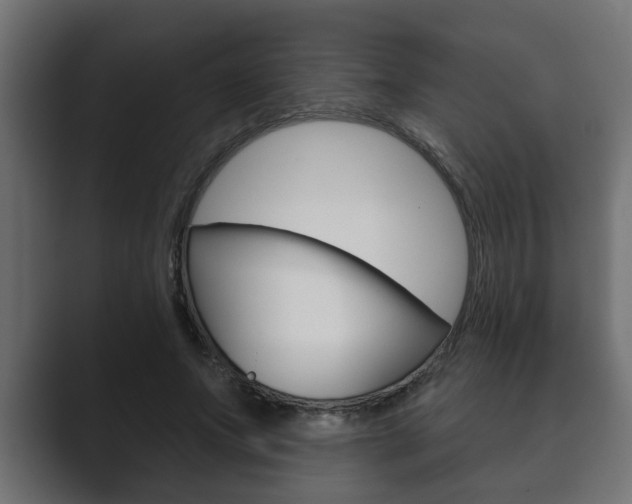 X0000089880687200706281051