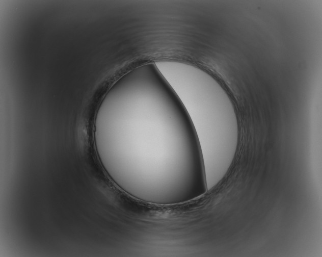 X0000089880688200706281051