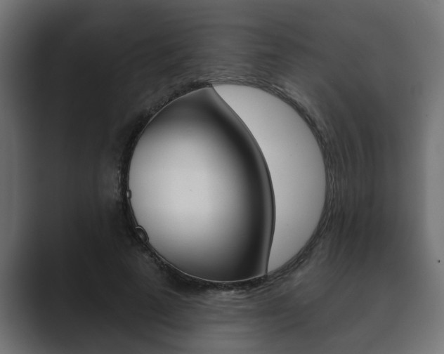 X0000089880689200706281051