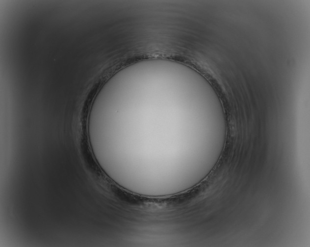 X0000089880690200706281051