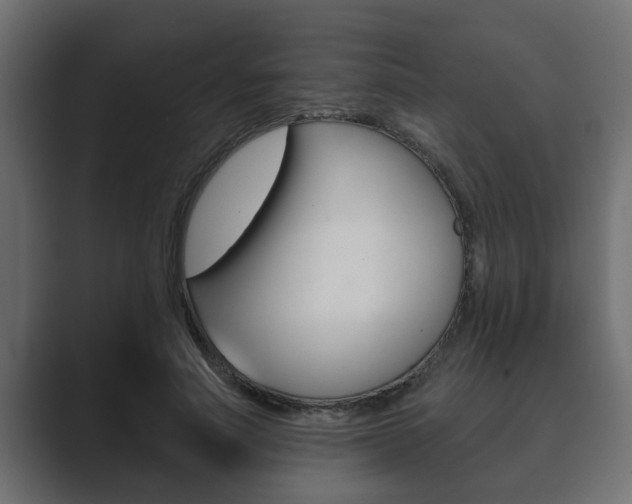 X0000089880691200706281051